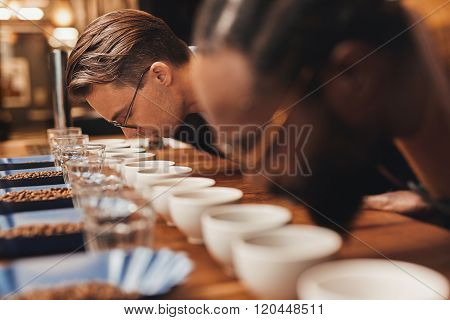Baristas bending over rows of fresh coffee at a tasting