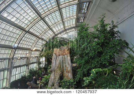 Palmenhaus Schoenbrunn In Wien