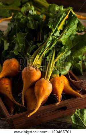 Raw Organic Golden Beets