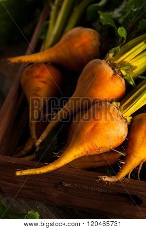 Raw Organic Golden Beets