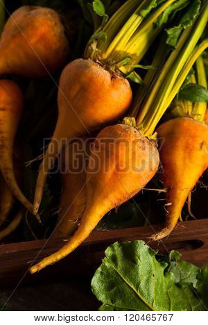 Raw Organic Golden Beets