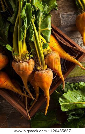 Raw Organic Golden Beets
