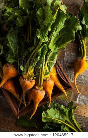 Raw Organic Golden Beets