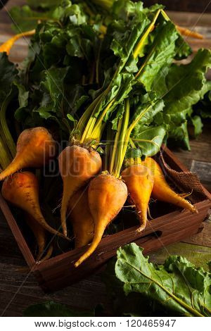Raw Organic Golden Beets