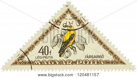 Bird Eurasian Golden Oriole (oriolus Oriolus) On Postage Stamp