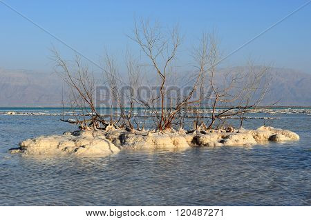 Typical Landscape Of The Dead Sea, Israel