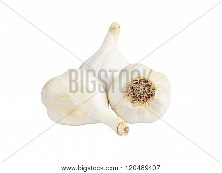 Garlic On White