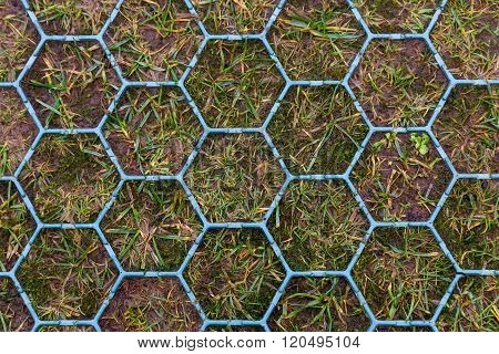 Hexagonal Shaped Anti Skid Footpath