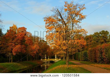 Autumn Day