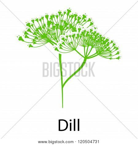 Dill Icon