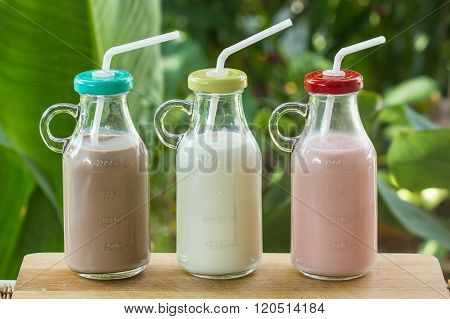 Strawberry chocolate and fresh milk bottles on garden background