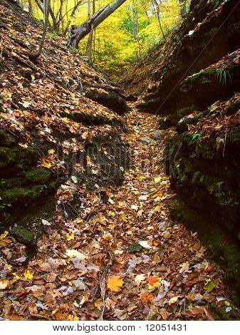 Belle Gorge - Illinois