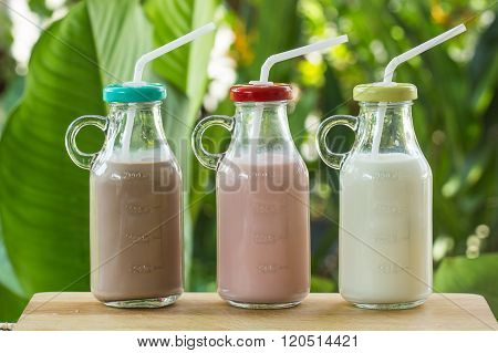 Strawberry chocolate and fresh milk bottles on garden background
