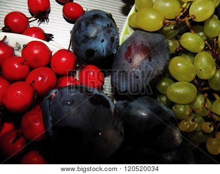Plum, Hawthorn And Grapes