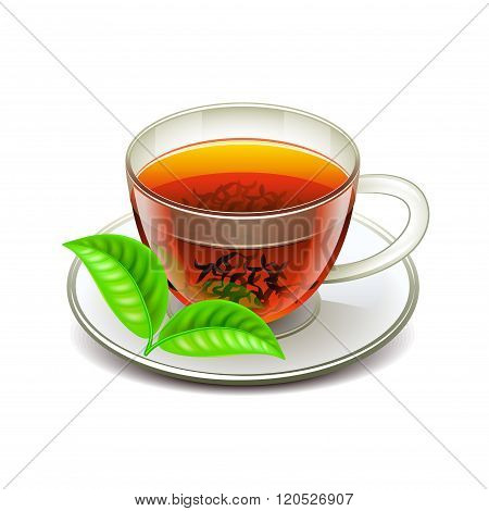 Ceylon Tea Isolated On White Vector