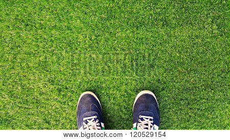 Sports shoes on artificial grass .