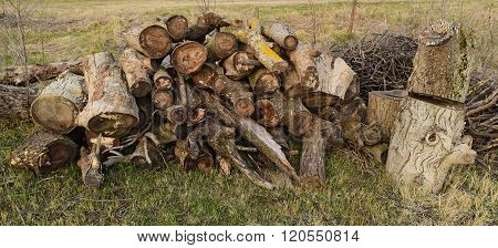 A Small Pile Of Firewood Stacked
