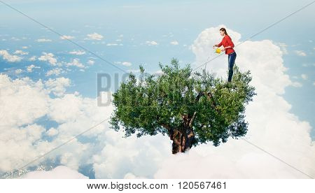Agriculture and forestation concept
