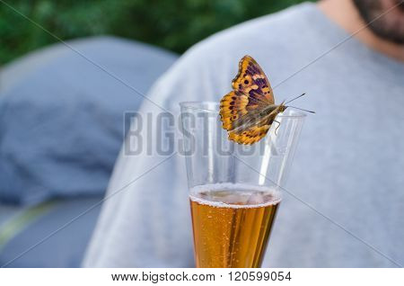 Butterfly Drinking Sparkling Wine Horizontal