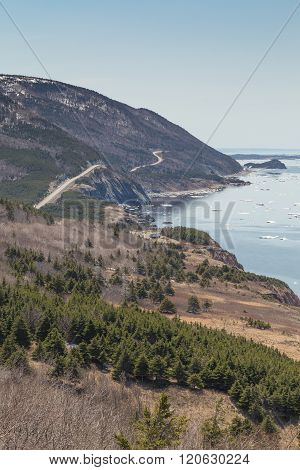 Winding Road At Cabot Trail Vertical
