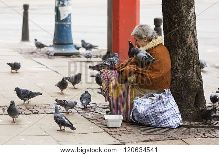 Homeless Begging Woman Pigeons