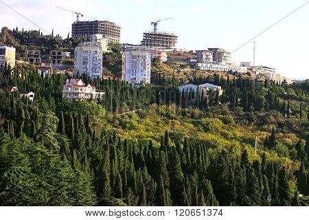 Settelment On The Hillside