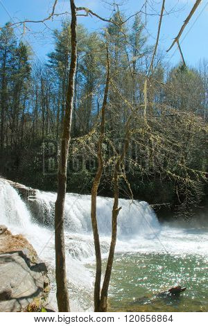 Hooker Falls Behind the Trees