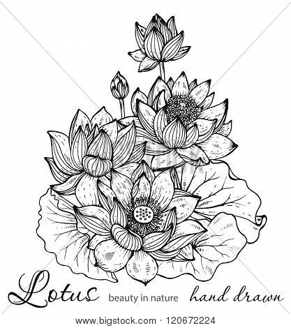 Beautiful Monochrome Vector Floral Bouquet Of Lotus Flowers