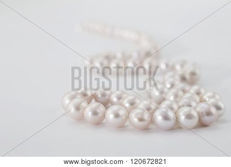 Pearl Necklace On White Background