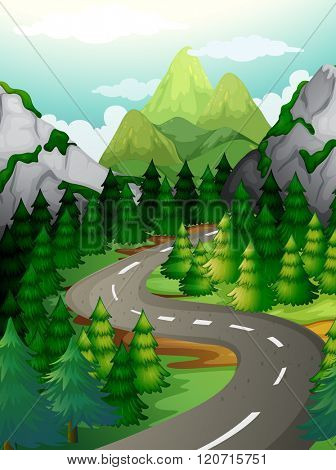 Scene with pine trees along the expressway illustration