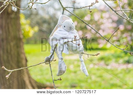 Lost Bunny Toy On A Tree