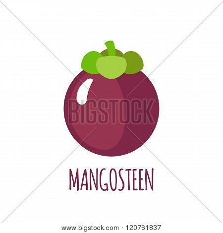 Mangosteen icon in flat style on white background