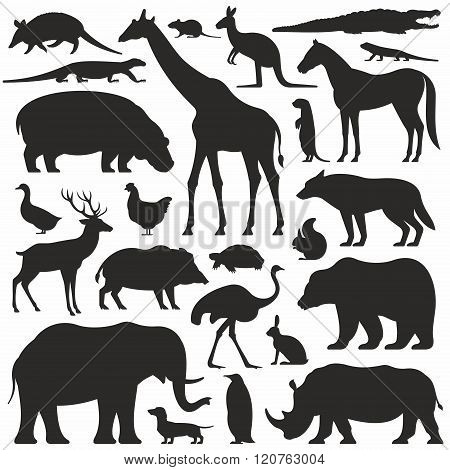 Animals silhouette set