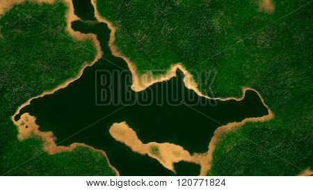 Satellite View of Wild Green Lush Nature Area