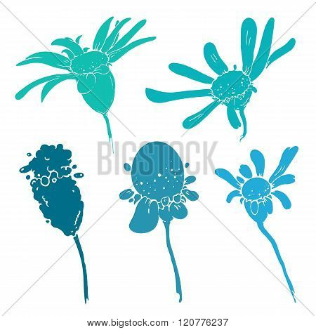 Sketch of floral elements for your design