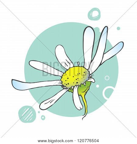 Blooming flower illustration