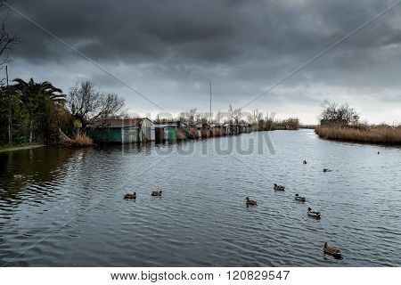 Italy, Tuscany, Lucca, Massaciuccoli Lake