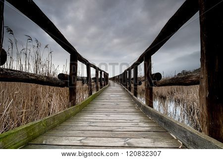 Italy, Tuscany, Lucca, Massaciuccoli Lake
