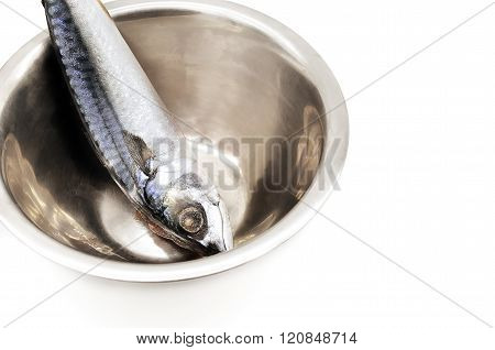 Saba fish in silverware