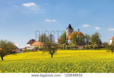 Church And Golden Rapeseed Field (brassica Napus)