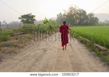 Forest Monk