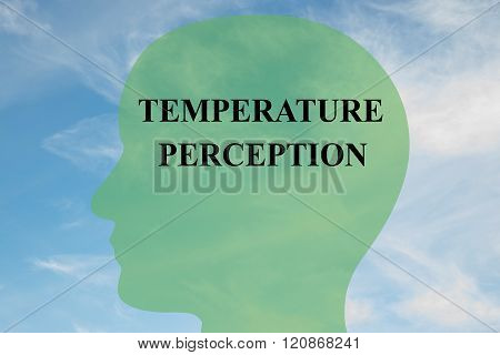 Temperature Perception Concept