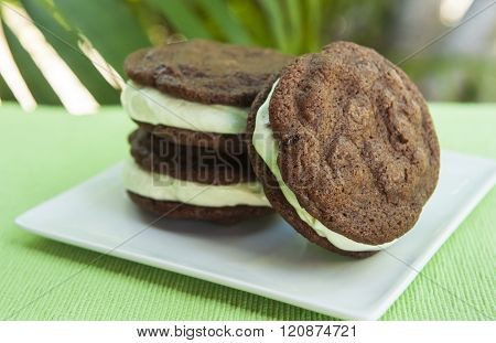 Double Chocolate Chip Mint Ice Cream Sandwich