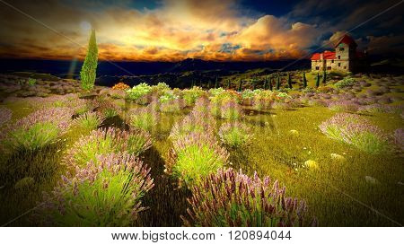 Castle towering 9ver lavender fields