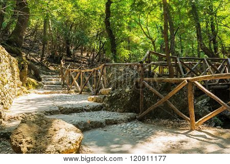The Valley of the Butterflies (Peta Loudhes) Rhodes Greece Europe