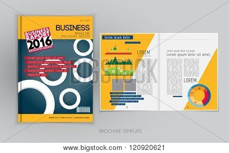 Business broschure layout, vector