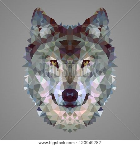 Wolf low poly portrait
