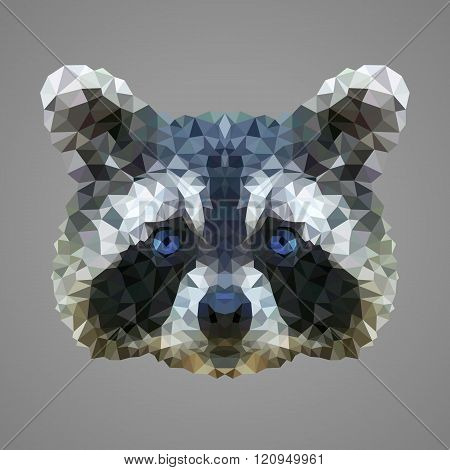 Raccoon low poly portrait