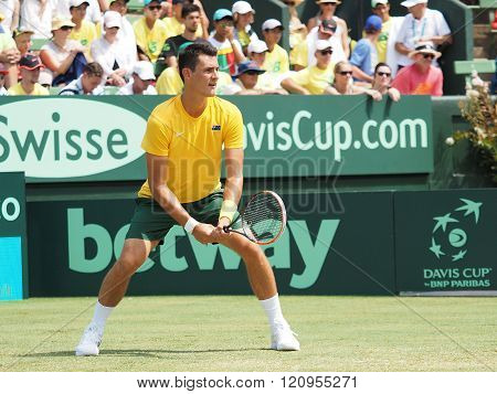 Bernard Tomic During Davis Cup wayting for a serve