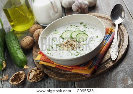 Tarator, Bulgarian Sour Milk Soup